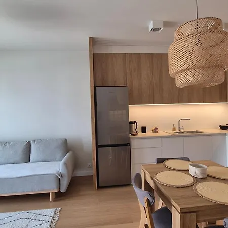 Appartement Luxurious Cinnamon Apartment, Self Check-in 24h, Free Parking, Air-conditioning Poznań