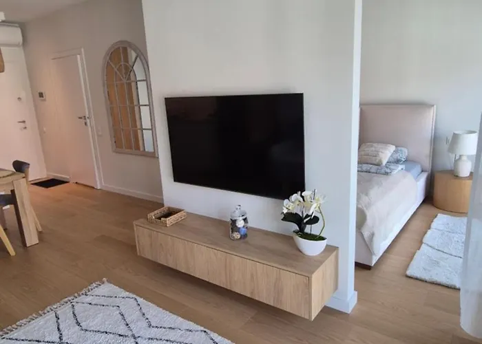 Apartment Luxurious Cinnamon Apartment, Self Check-in 24h, Free Parking, Air-conditioning